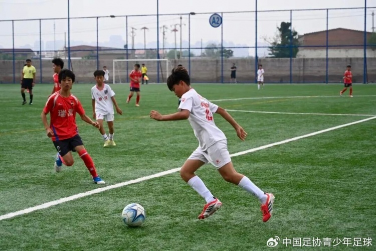 91场单循环决出天津U13冠军：鹏程13队夺冠